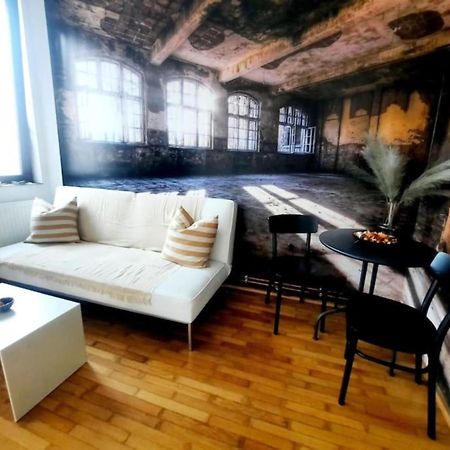 One Bedroom By The Park Old Town Belle Vue Timisoara Bagian luar foto